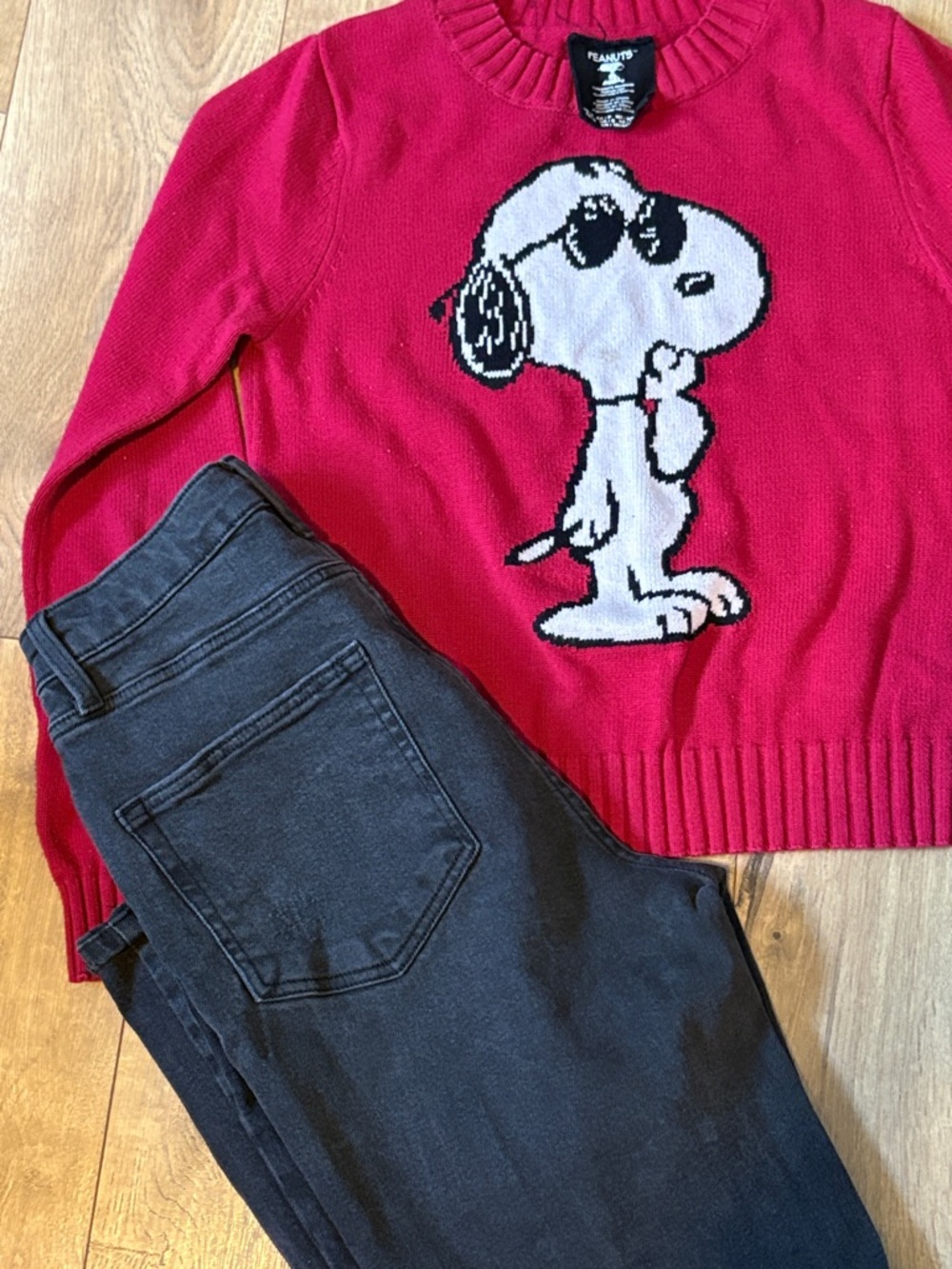 Peanuts Red Snoopy Knit Pullover